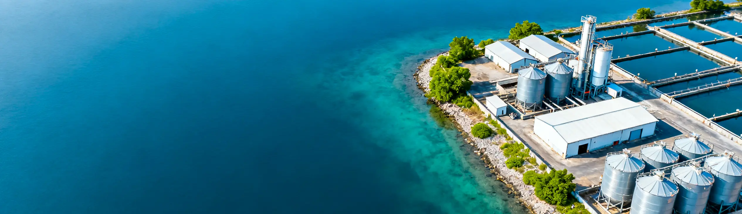 Комплексные решения для линий по производству корма для рыб