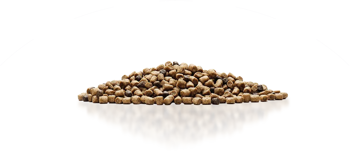 Экструдированный корм для рыб