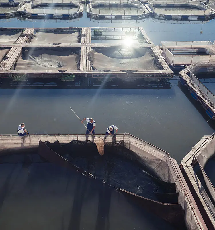 завод по производству корма для рыб