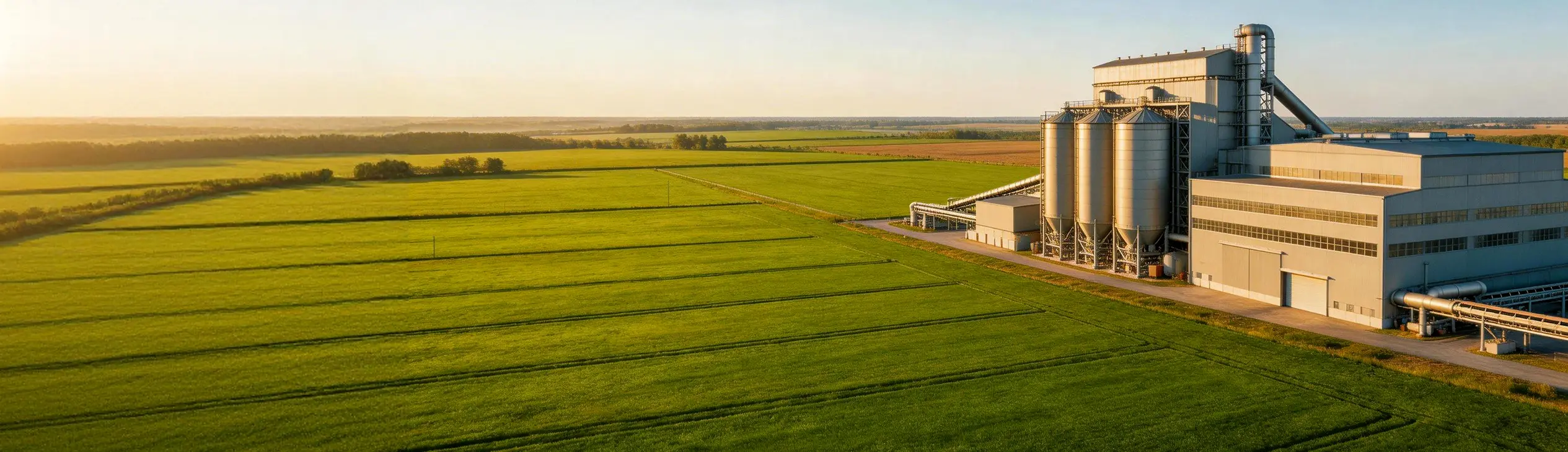 линии по производству кормов для птицы