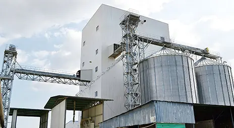 Проекты по производству кормов в Индонезии