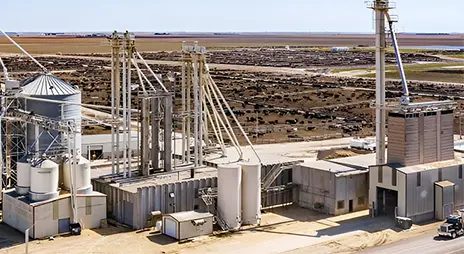 RICHI Проекты по производству кормов в Турци