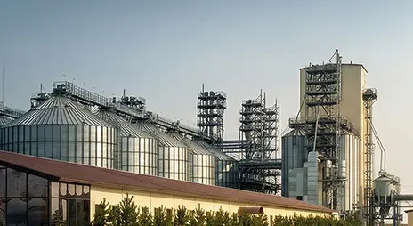 RICHI Проекты по производству кормов в Узбекистане