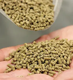 Гранулированный корм для рыбы