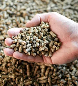 Гранулированный корм для цыплят