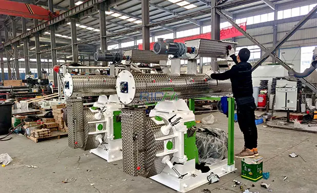 Две грануляторы корма 5 тонн в час в Казахстане