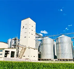 Завод по производству рыбных кормов