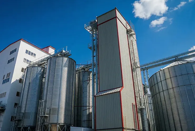 Линии по производству кормов для скота