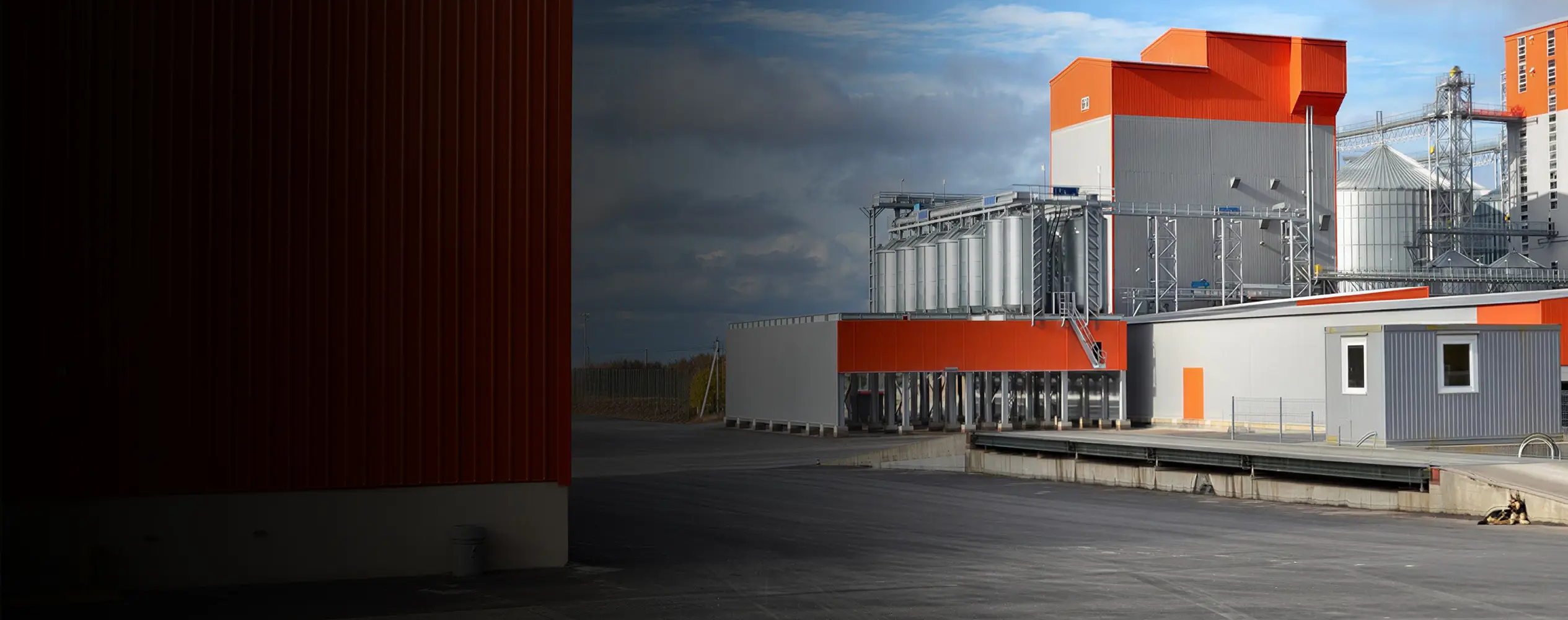 Проект по производству кормов в Кыргызстане