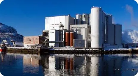 Проект по производству кормов в США