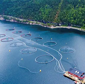 Система рециркуляционного аквакультуры