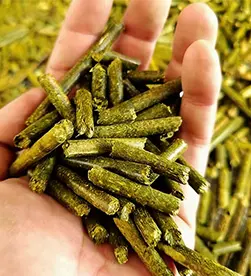 гранула из травы