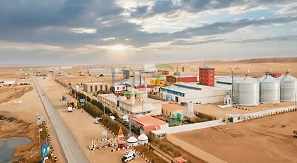 гранулятор кормов для жвачных животных в Тунисе