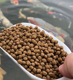 корм для форели