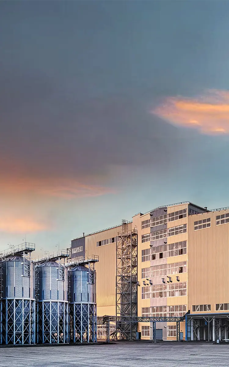 линии по производству комбикорма