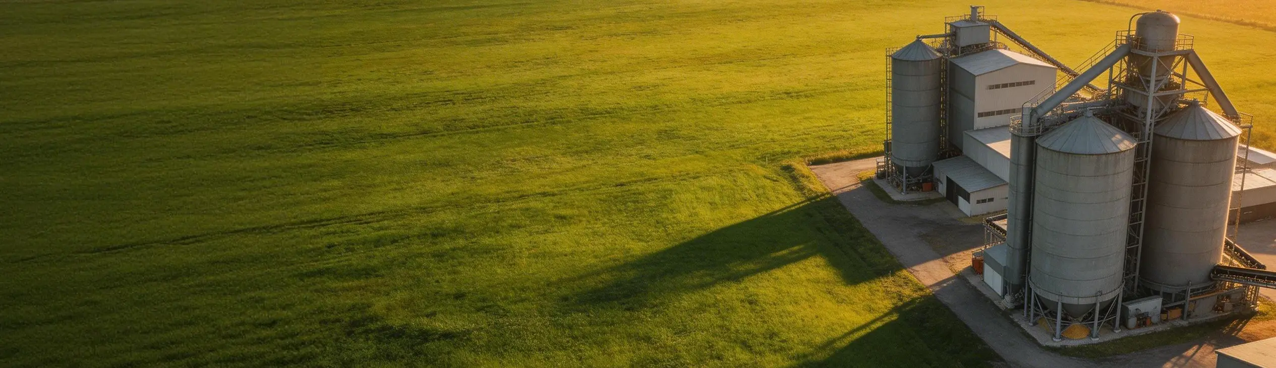 линии по производству кормов для жвачных животных