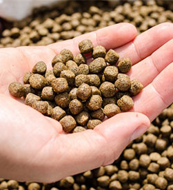 плавающий корм для рыб