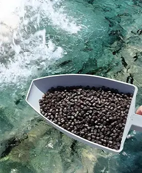 Линия по производству корма для аквакультуры RICHI