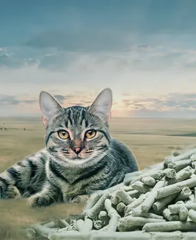 Линия по производству наполнителя для кошачьего туалета