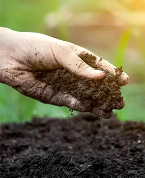 Линия по производству органических удобрений RICHI