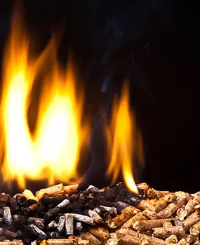 Линия по производству топливных пеллет RICHI